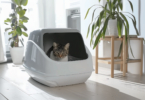 Cat Litter Box