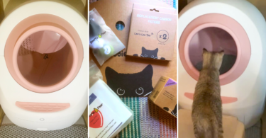 Leo's Loo Too Automatic Cat Litter Box