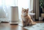pet air purifier for cats
