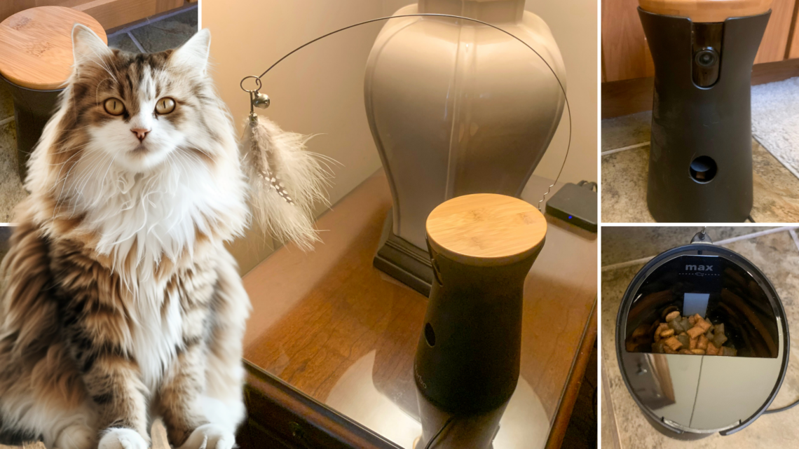 Furbo For Cats