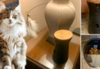 Furbo For Cats