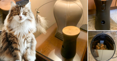 Furbo For Cats