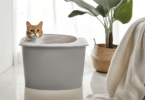 Top Entry Cat Litter Box