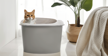 Top Entry Cat Litter Box