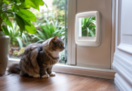 smart cat door