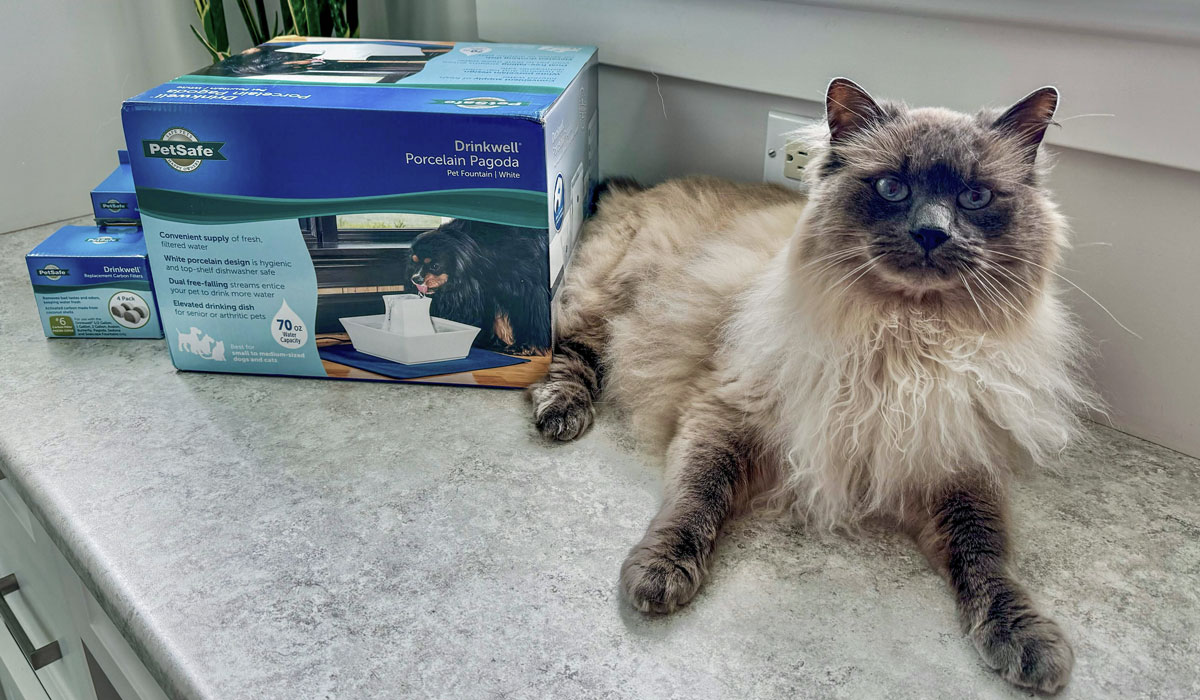 PetSafe Drinkwell Pagoda Cat Water Fountain