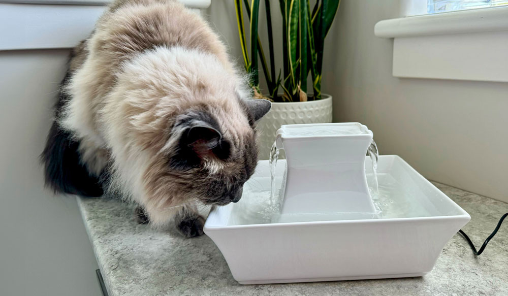 PetSafe DrinkWell Pagoda Cat Water Fountain