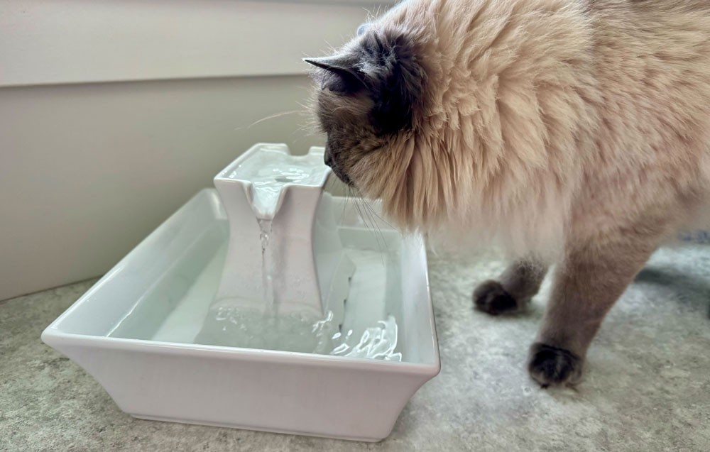 PetSafe Drinkwell Pagoda Cat Water Fountain