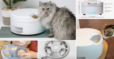 SoCool Automatic Cat Feeder