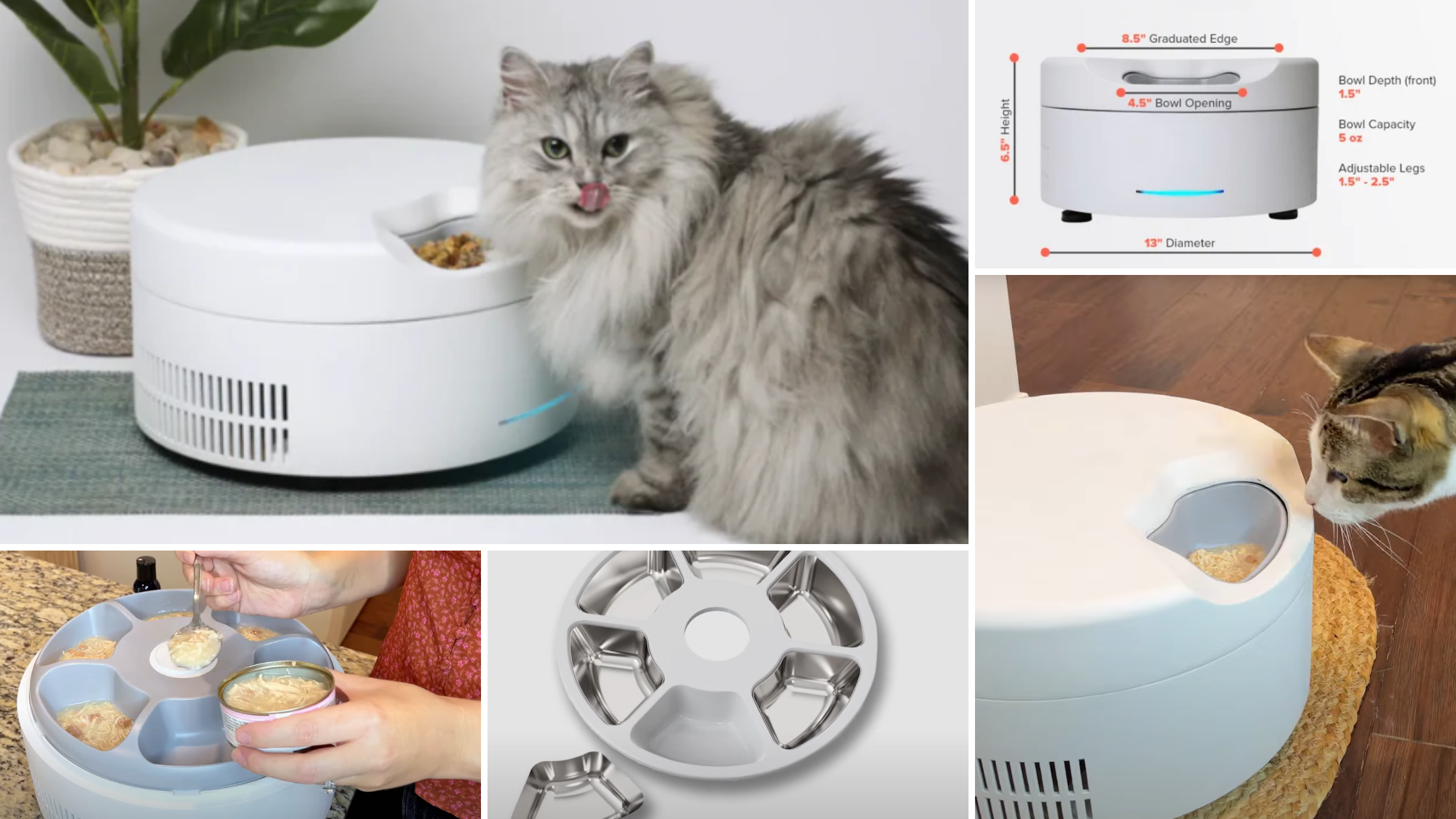 SoCool Automatic Cat Feeder