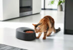 Wet Cat Food Feeder