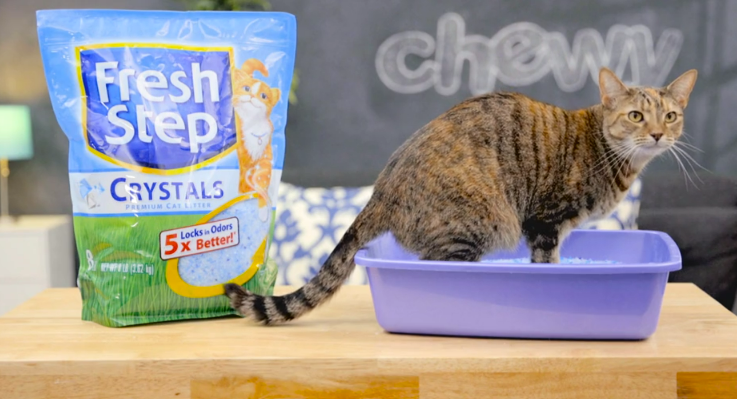 Best Crystal Cat Litter - Fresh Step